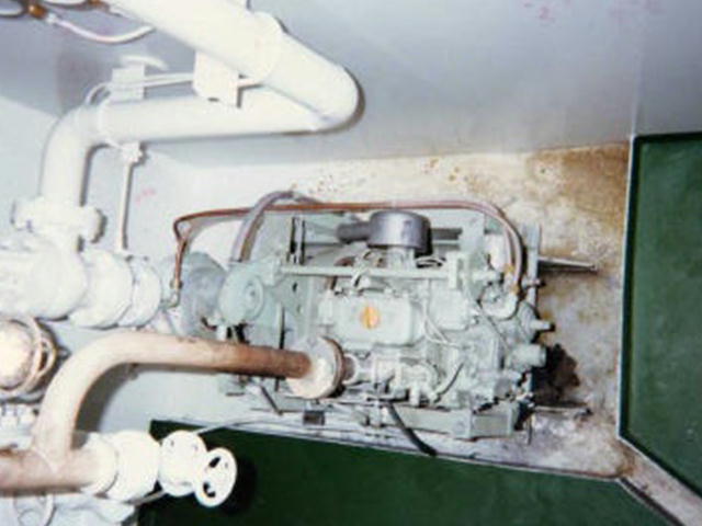 Diesel Engine driven type